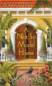 Book Cover: A Not So Model Home